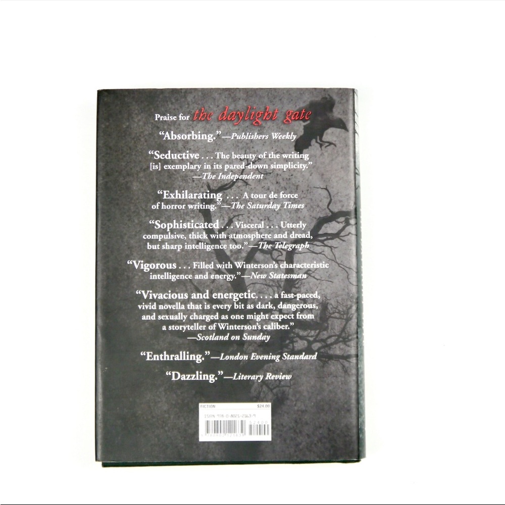 The Daylight Gate hardcover - Picture 3 of 6